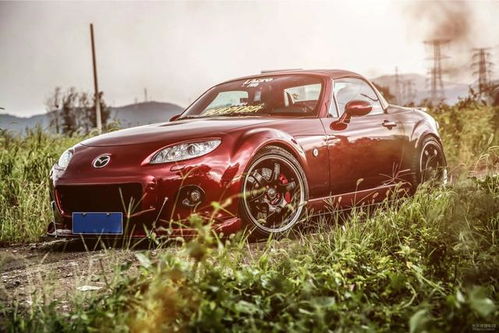 女生眼中low到爆的汽車改裝 幼稚貼紙竟非第一？