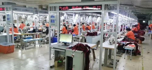 客服火線入職備戰(zhàn)天貓雙11，流水線24小時(shí)趕工，不夜廠點(diǎn)亮江蘇咨詢策劃服務(wù)